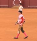 Video Heifers in the Real Maestranza Sevilla 15 June 2017